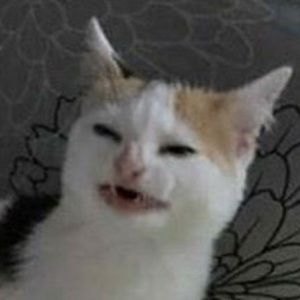 Meet your Posher, Kiara